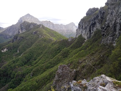 IMG 20190511 070041