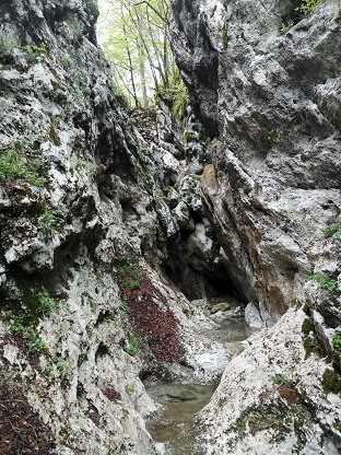 IMG 20190511 071616