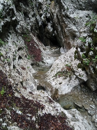 IMG 20190511 071622
