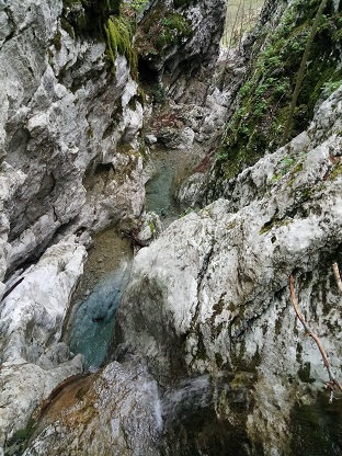 IMG 20190511 071924