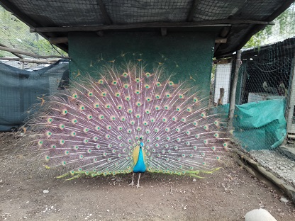 IMG 20190511 100920