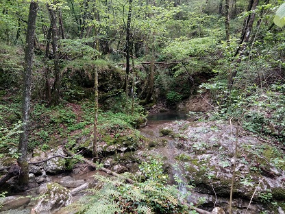 IMG 20190511 121201