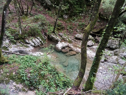 IMG 20190511 121228