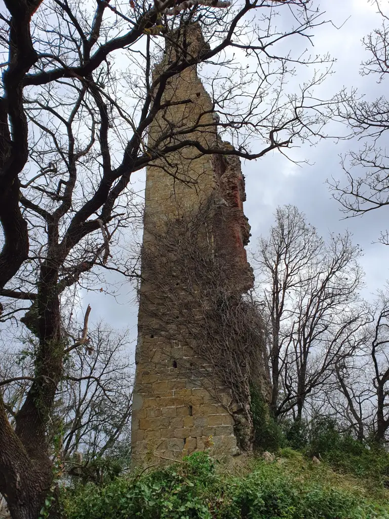 Rocca di Ripafratta e dintorni di Andrea Pelleriti